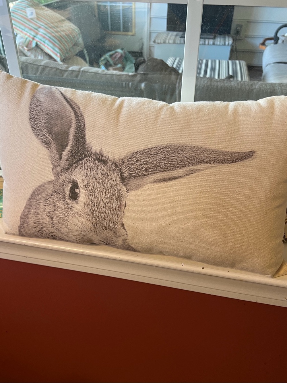 Two Texas Cowgirls Rabbit Pillow